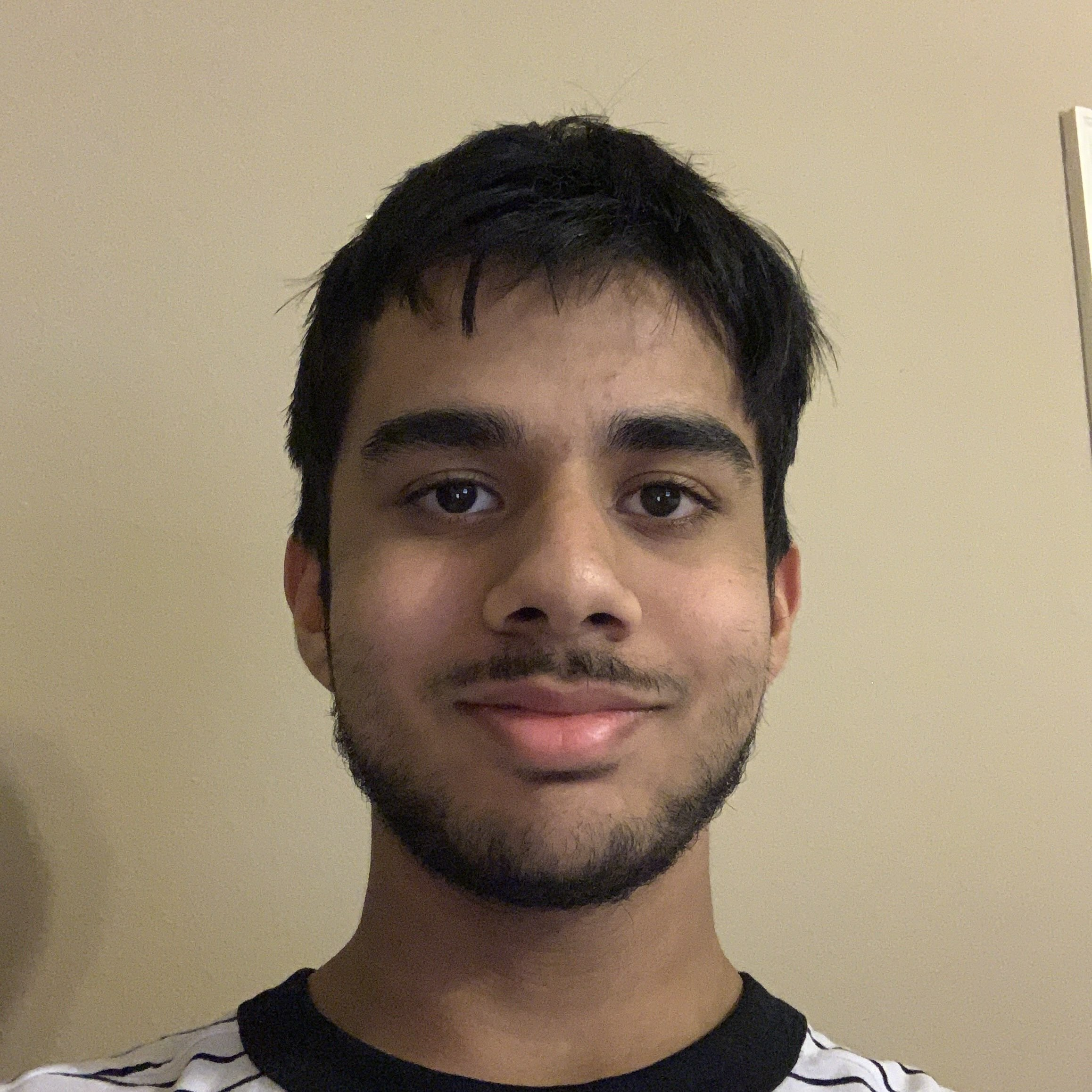 Ashwin Gupta, Engineer + Programmer for Undefined Robotics